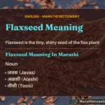 Flaxseed Meaning In Marathi