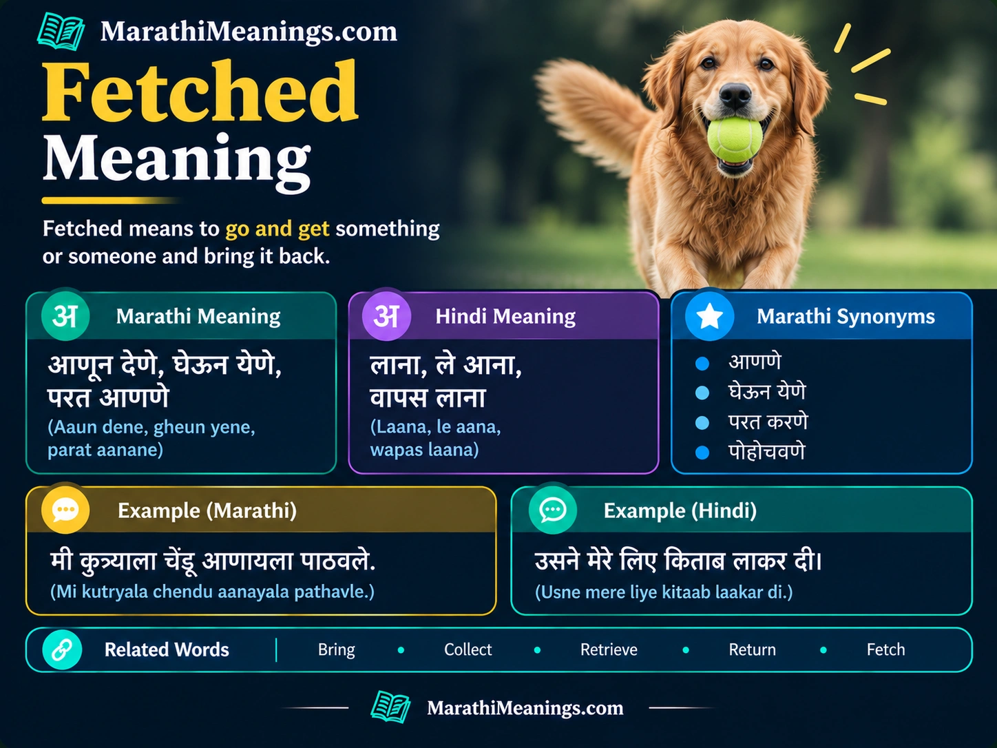 Fetched Meaning In Marathi